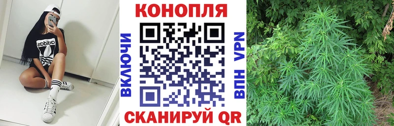 Где продают наркотики Пикалёво Марихуана КОКАИН СК Гашиш
