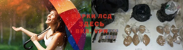 соль ск Богородицк