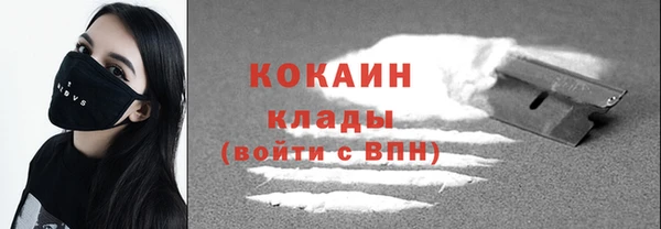соль ск Богородицк