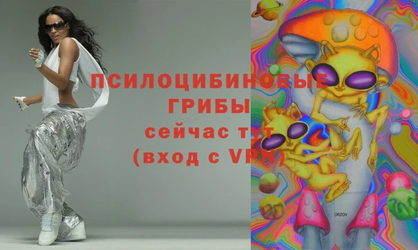 экстази Богородск