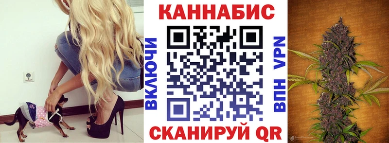 МАРИХУАНА семена  кракен маркетплейс  Пикалёво 